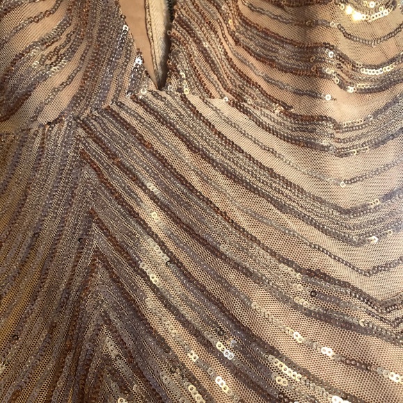 Showpo. Dress - Picture 3 of 3